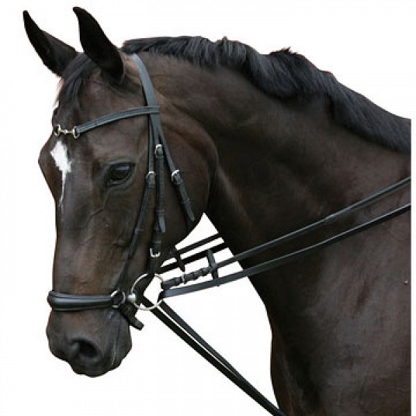 Schlaufzügel, Leder schwarz Full